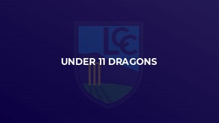 Under 11 Dragons