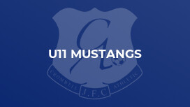 U11 Mustangs