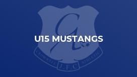 U15 Mustangs