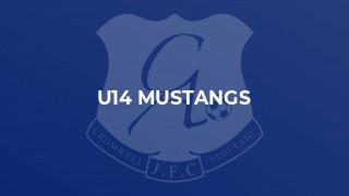 U14 Mustangs