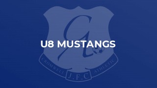 U8 Mustangs