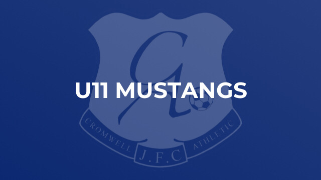 U11 Mustangs
