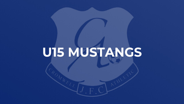 U15 Mustangs