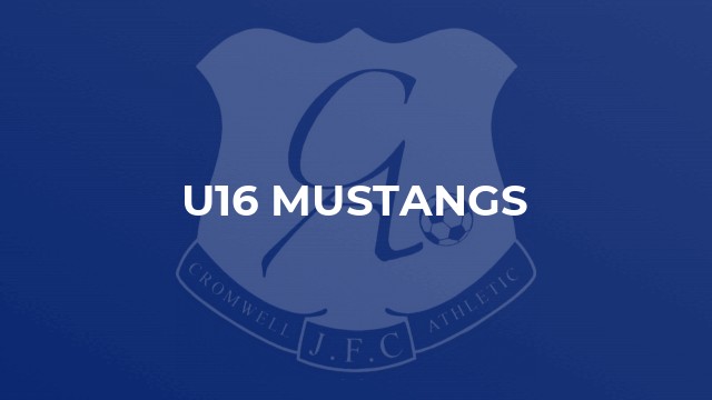 U16 Mustangs