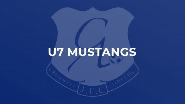 U7 Mustangs