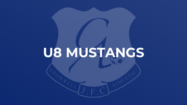 U8 Mustangs