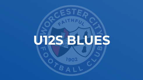 A long road to victory for City U11s