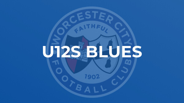 Worcester City vs Haleowen Town U10s