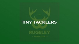 Tiny Tacklers