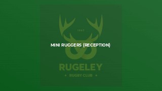 Mini Ruggers (Reception)