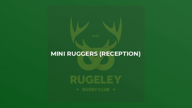 Mini Ruggers (Reception)