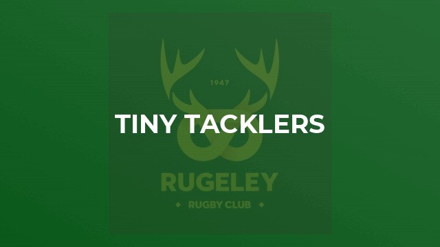 Tiny Tacklers