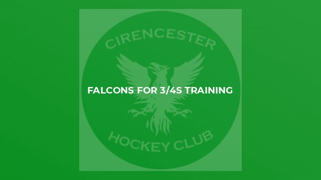 Falcons for 3/4s training