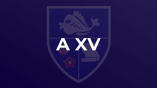  A XV 