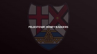 Felixstowe Honey Badgers