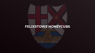 Felixstowe Honeycubs