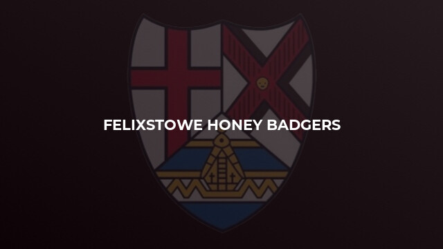 Felixstowe Honey Badgers