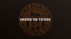 Under 15s Tigers