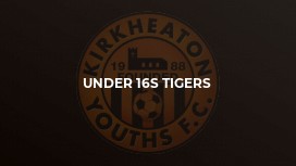 Under 16s Tigers