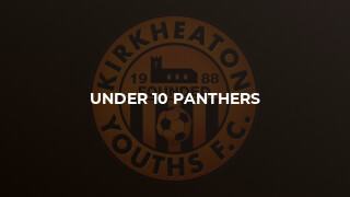 Under 10 Panthers