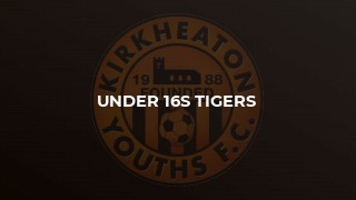 Under 16s Tigers