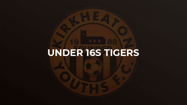 Under 16s Tigers