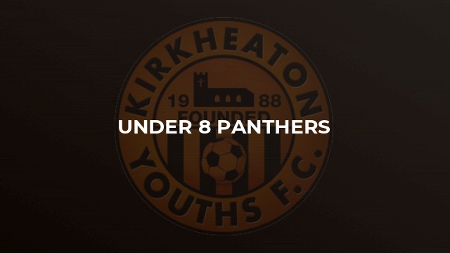 Under 8 Panthers