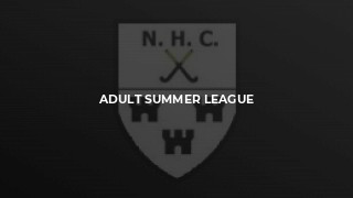 Adult Summer League