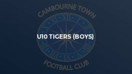 U10 Tigers (Boys)