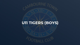 U11 Tigers (Boys)