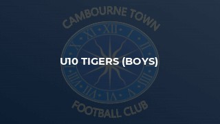 U10 Tigers (Boys)