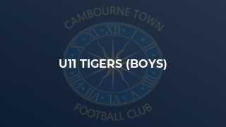 U11 Tigers (Boys)
