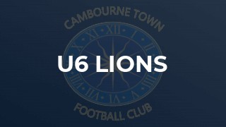 U6 Lions