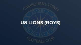 U8 Lions (Boys)