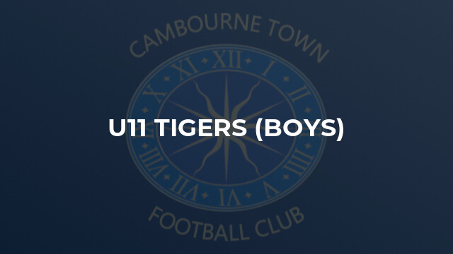 U11 Tigers (Boys)