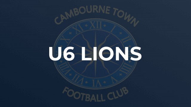 U6 Lions