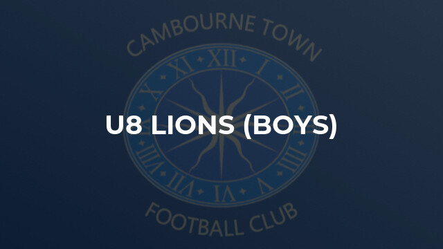 U8 Lions (Boys)