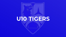 U10 Tigers
