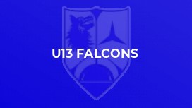 U13 Falcons