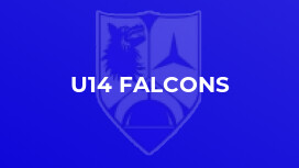 U14 Falcons