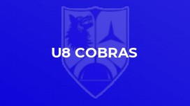 U8 Cobras