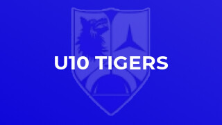 U10 Tigers