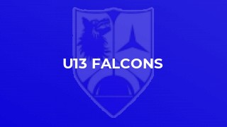 U13 Falcons