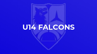 U14 Falcons