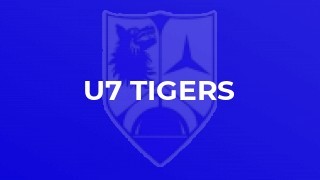 U7 Tigers