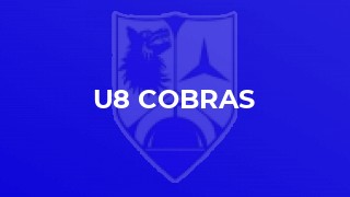 U8 Cobras