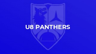 U8 Panthers