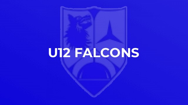 U12 Falcons