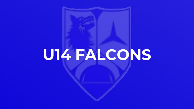 U14 Falcons