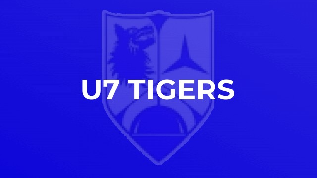 U7 Tigers